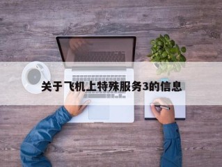 关于飞机上特殊服务3的信息