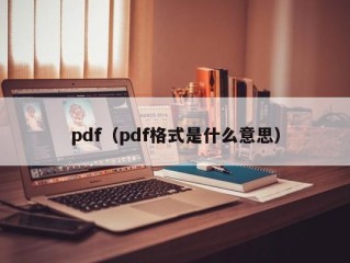 pdf（pdf格式是什么意思）