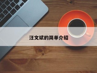 汪文斌的简单介绍