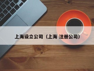 上海设立公司（上海 注册公司）