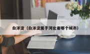 白洋淀（白洋淀属于河北省哪个城市）