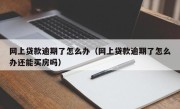 网上贷款逾期了怎么办（网上贷款逾期了怎么办还能买房吗）