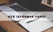 毛不易（毛不易歌曲大全 14首歌词）