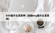 ESG是什么意思啊（金融esg是什么意思啊）