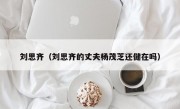 刘思齐（刘思齐的丈夫杨茂芝还健在吗）