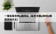 一键去除衣物p图网站（能把衣服p掉的p图软件叫什么）