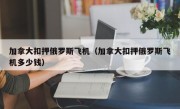 加拿大扣押俄罗斯飞机（加拿大扣押俄罗斯飞机多少钱）