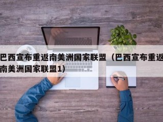 巴西宣布重返南美洲国家联盟（巴西宣布重返南美洲国家联盟1）