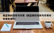 板蓝根的功效与作用（板蓝根的功效与作用对咳嗽有用吗）