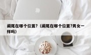 阑尾在哪个位置?（阑尾在哪个位置?男女一样吗）