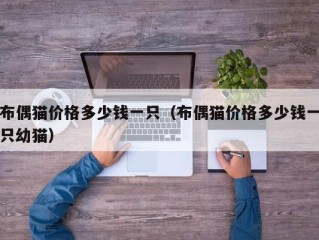 布偶猫价格多少钱一只（布偶猫价格多少钱一只幼猫）