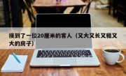 接到了一位20厘米的客人（又大又长又租又大的房子）