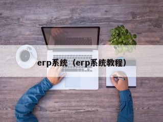 erp系统（erp系统教程）