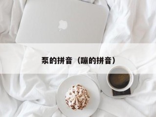 泵的拼音（蹦的拼音）