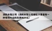 消防水箱公司（消防水箱公司猪肚子里面有一种带荷叶边的东西叫什么）