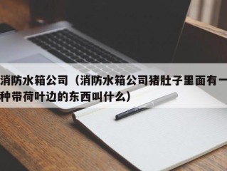 消防水箱公司（消防水箱公司猪肚子里面有一种带荷叶边的东西叫什么）