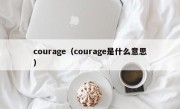 courage（courage是什么意思）