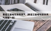 黑龙江省哈尔滨市天气（黑龙江省哈尔滨市天气预报一周）