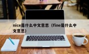 nice是什么中文意思（fine是什么中文意思）