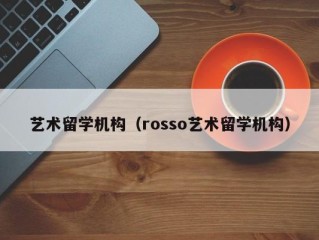 艺术留学机构（rosso艺术留学机构）