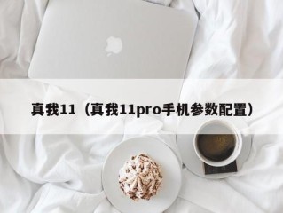 真我11（真我11pro手机参数配置）