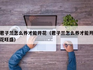 君子兰怎么养才能开花（君子兰怎么养才能开花旺盛）