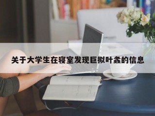 关于大学生在寝室发现巨拟叶螽的信息