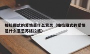 柏拉图式的爱情是什么意思（柏拉图式的爱情是什么意思苏格拉底）