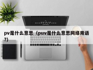 pv是什么意思（puv是什么意思网络用语?）