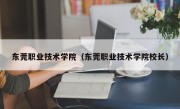 东莞职业技术学院（东莞职业技术学院校长）