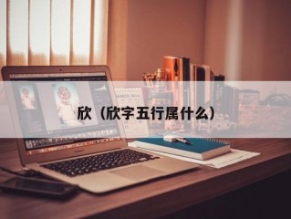 欣（欣字五行属什么）