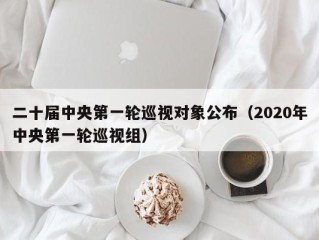 二十届中央第一轮巡视对象公布（2020年中央第一轮巡视组）