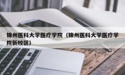 锦州医科大学医疗学院（锦州医科大学医疗学院新校区）