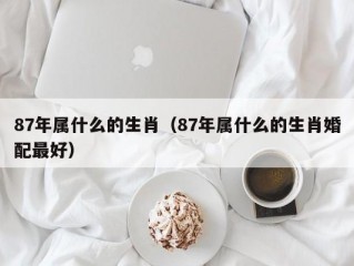 87年属什么的生肖（87年属什么的生肖婚配最好）