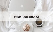 刘奕铁（刘奕铁三大队）