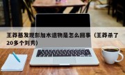 王莽墓发现彭加木遗物是怎么回事（王莽杀了20多个刘秀）