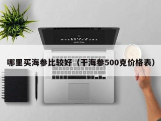 哪里买海参比较好（干海参500克价格表）