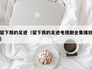 留下我的足迹（留下我的足迹电视剧全集播放）