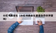 小红书商业化（小红书商业化渠道合作伙伴查询）