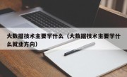 大数据技术主要学什么（大数据技术主要学什么就业方向）