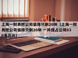 上海一财务把公司偷得只剩20块（上海一财务把公司偷得只剩20块 一共侵占公司630多万元）