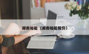 湖南裕能（湖南裕能股份）