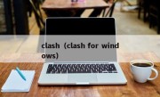 clash（clash for windows）