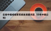 云南中烟成烟草系统反腐重灾区（云南中烟公司）