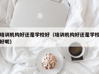 培训机构好还是学校好（培训机构好还是学校好呢）