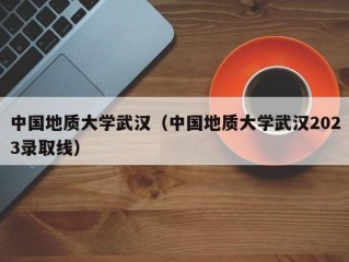 中国地质大学武汉（中国地质大学武汉2023录取线）