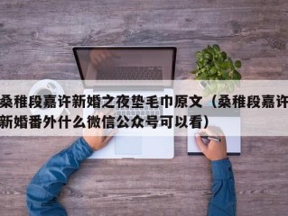 桑稚段嘉许新婚之夜垫毛巾原文（桑稚段嘉许新婚番外什么微信公众号可以看）