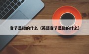 音节是指的什么（英语音节是指的什么）