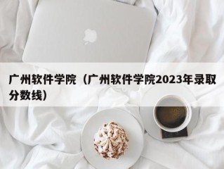 广州软件学院（广州软件学院2023年录取分数线）