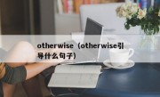 otherwise（otherwise引导什么句子）